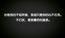 爱情带字短视频,短视频捕捉心动瞬间